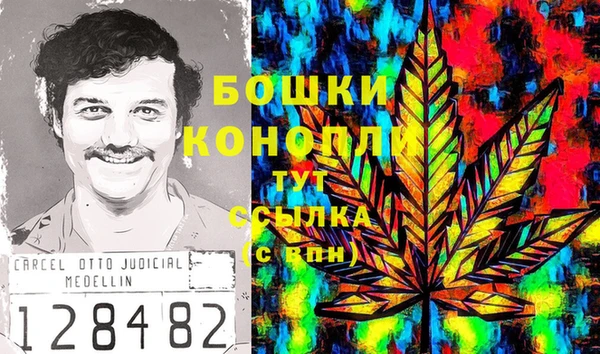 молекула духа Белокуриха