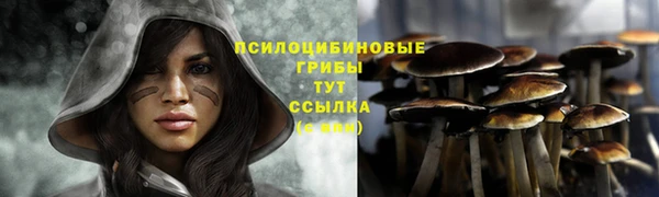 молекула духа Белокуриха